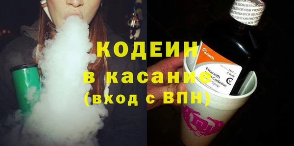 ГАЛЛЮЦИНОГЕННЫЕ ГРИБЫ Абаза