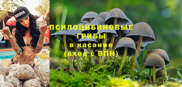 ГАЛЛЮЦИНОГЕННЫЕ ГРИБЫ Абаза