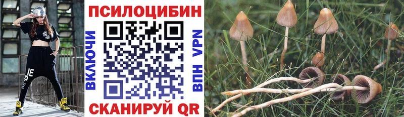 мориарти наркотические препараты  купить наркотик  ссылка на мегу как зайти  Тутаев  Галлюциногенные грибы Magic Shrooms 