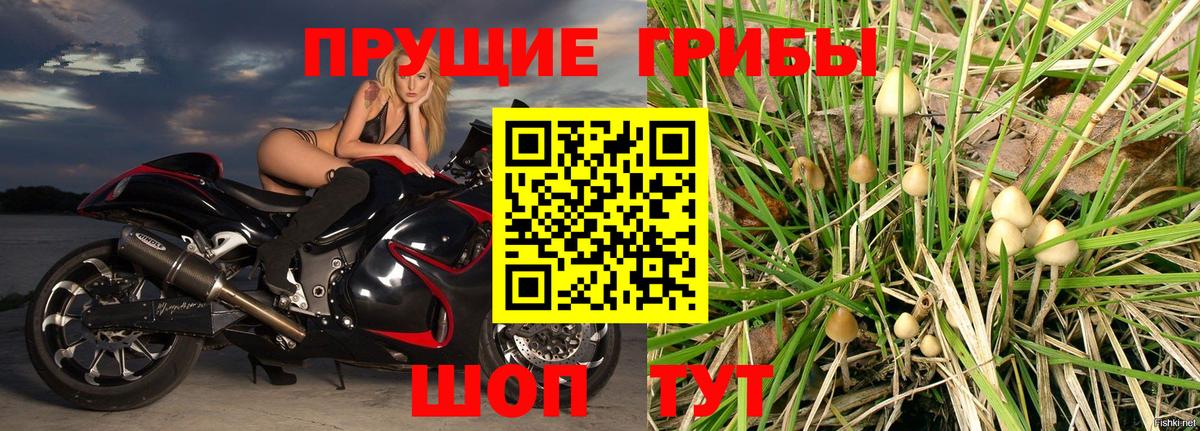 Галлюциногенные грибы прущие грибы  Вход с VPN  Тутаев 