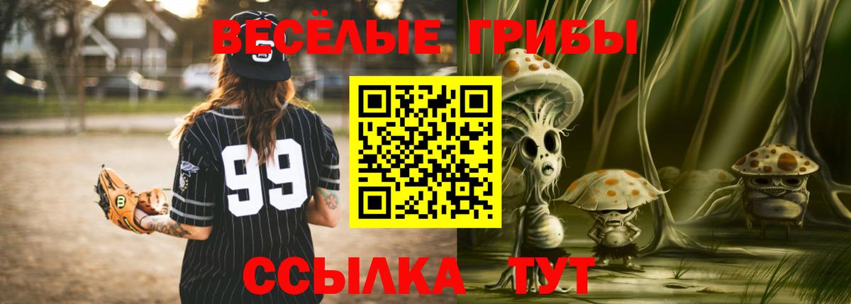Галлюциногенные грибы Psilocybine cubensis Тутаев